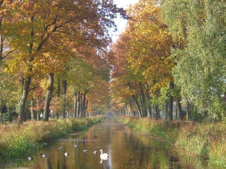 De Peel : Kanaalweg, Herbstimpressionen